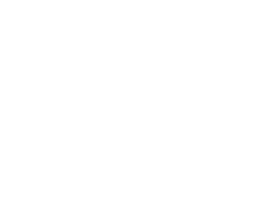 the Y